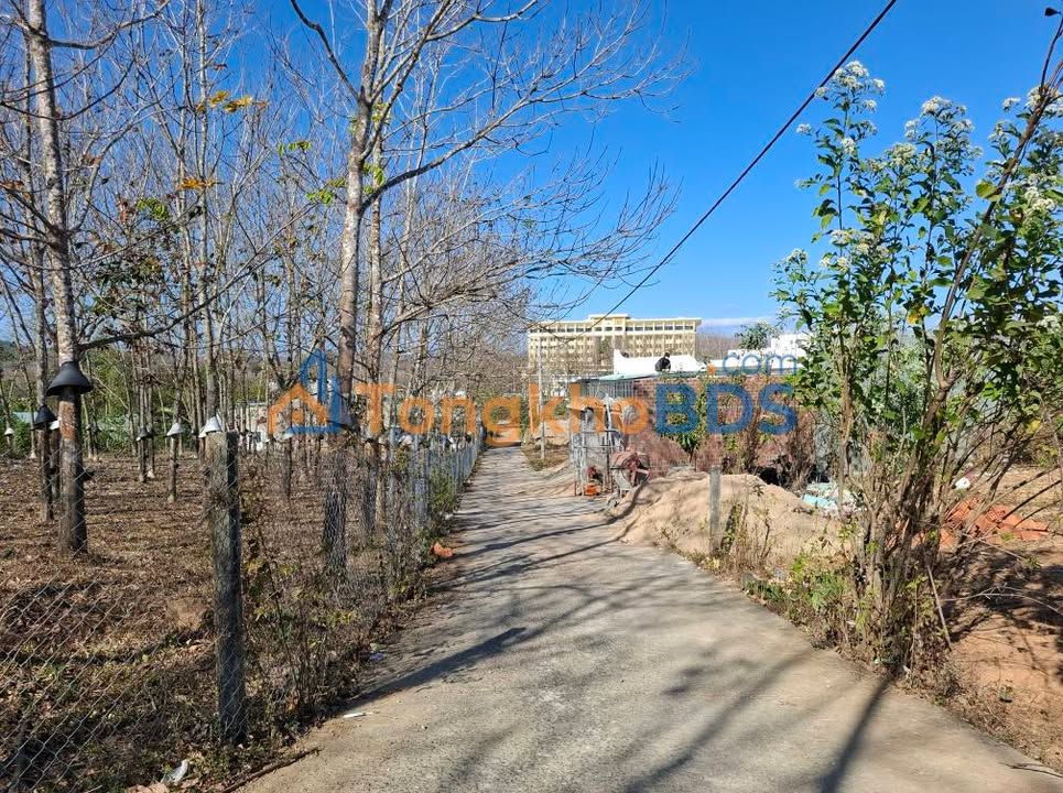 Đất nền Đắk Blà Kon Tum 200m² giá 2xx triệu - Đường to ô tô