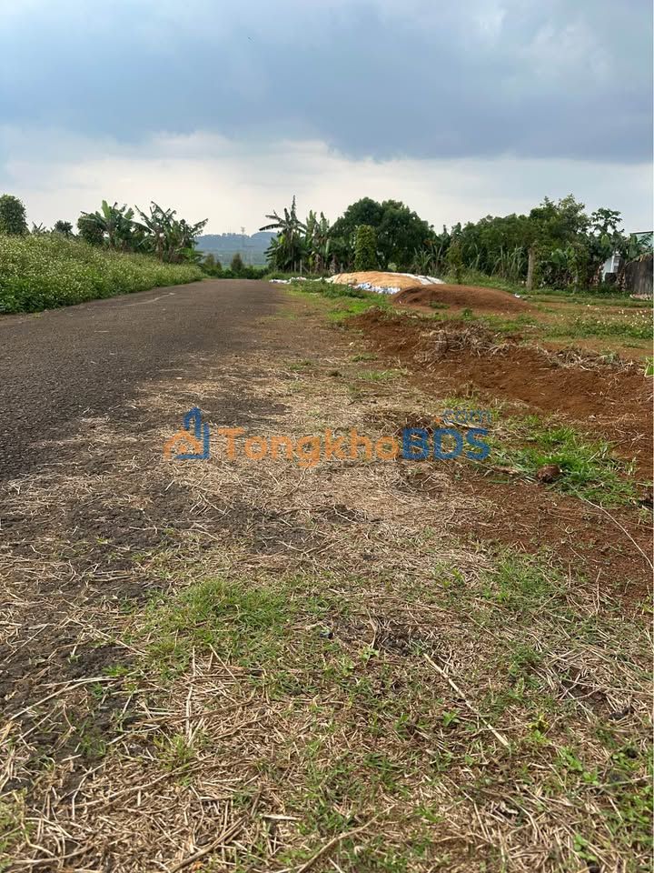 Đất nền Di Linh 16200m² 850 triệu - Đất thổ cư 100%