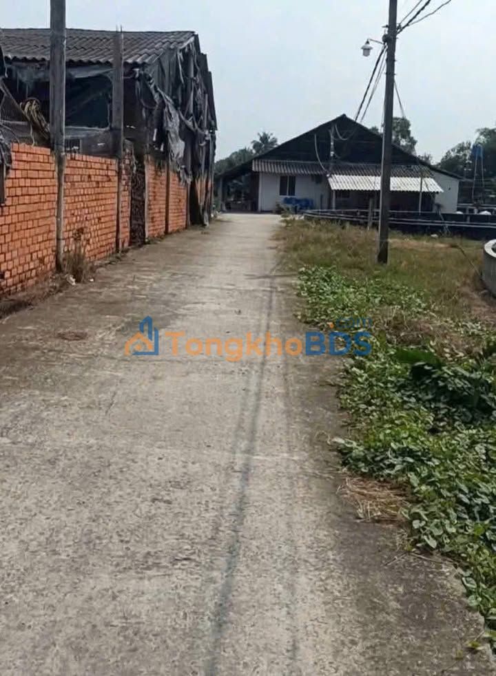 Trang trại Nhựt Tảo 10.000m² 7.5 tỷ - Đầu tư dài hạn