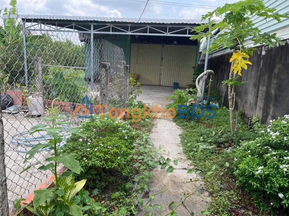 Đất vườn Hòa Phú 1.830m² 1,3 tỷ - Sinh thái xanh