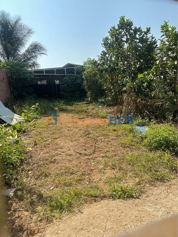 Kho xưởng Tuy Hòa Đường 2 480m² 3.45 tỷ - Hoạt động ngay