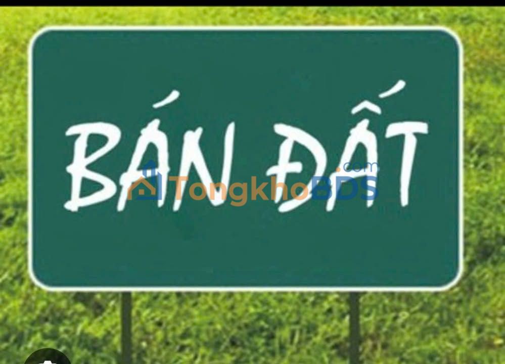 Đất nền Cống Lở P15 Tân Bình 48m² 4.6 tỷ - Pháp lý rõ ràng