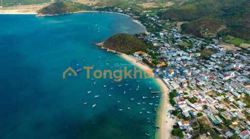 Đất nền view biển Ninh Phước 1,6ha 11,44 tỷ - Sổ đỏ chính chủ