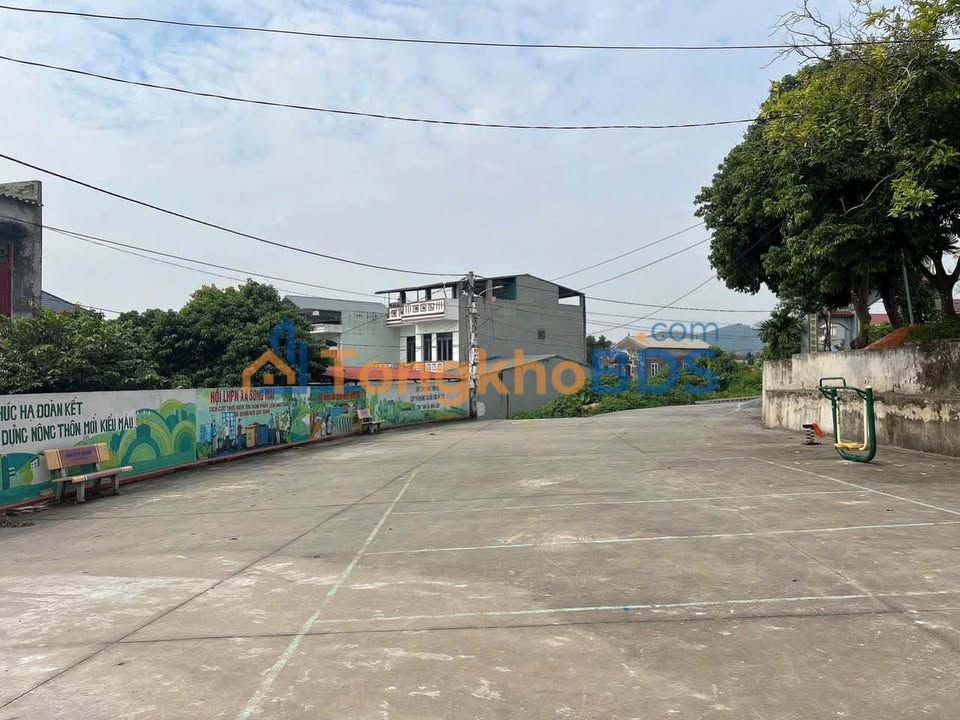 Đất vườn Phúc Hạ 318m² 1.5 tỷ - Đầu tư dài hạn