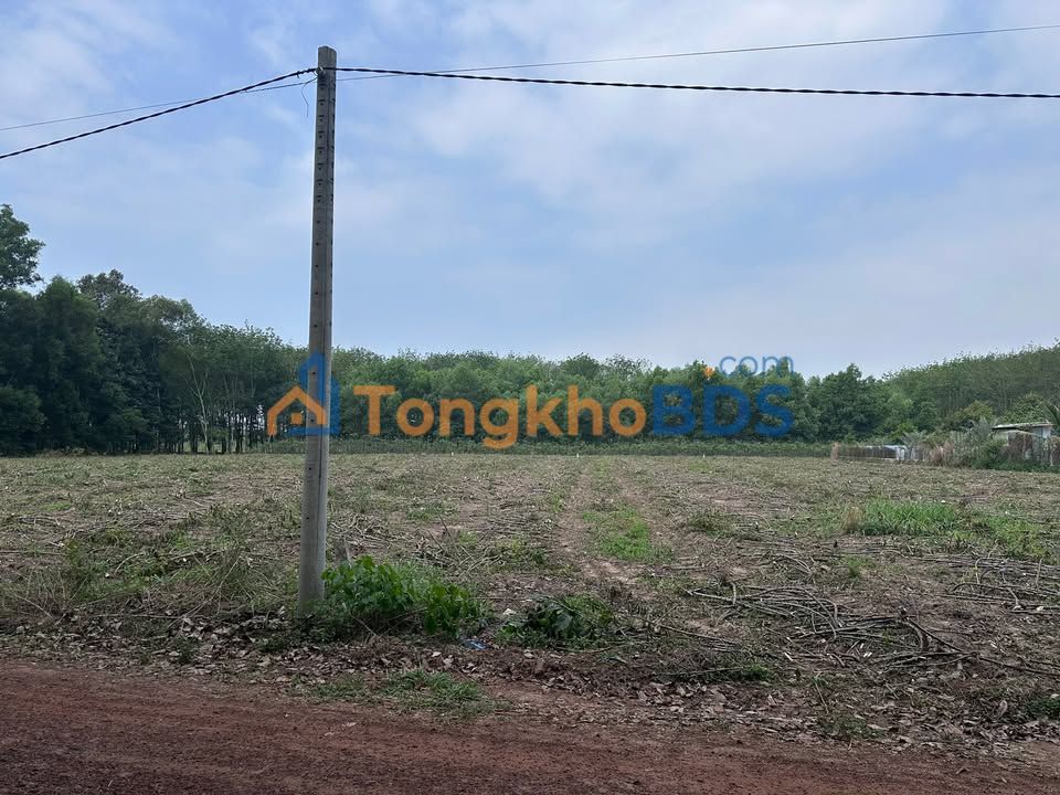 Đất nền Vĩnh Hoà Phú Giáo 2.600m² giá 2 tỷ - Giá tốt hiếm có