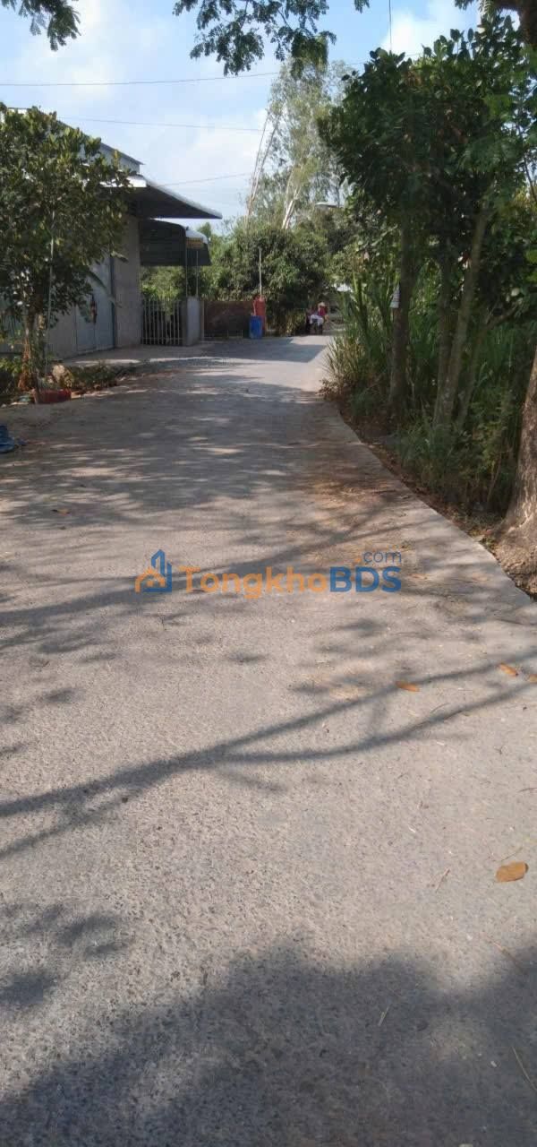 Đất nền Hồng Ngự An Thạnh 246m² 450 triệu - Sổ đỏ chính chủ