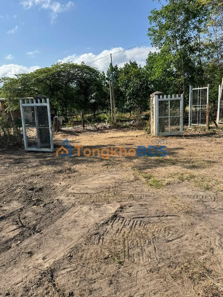 Đất vườn Ninh Xuân Ninh Hòa 22.297m² 3 tỷ - Đầu tư dài hạn