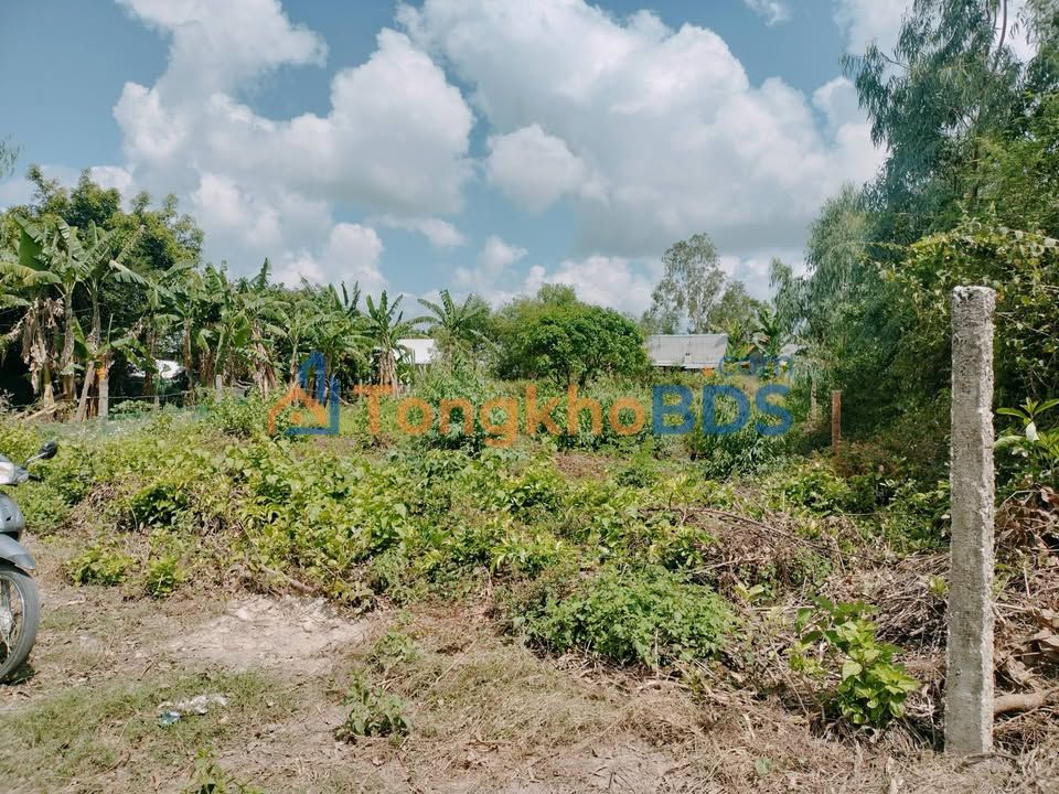 Đất nền Ninh Thân Ninh Hòa 100m² 2xxtr - Tiềm năng tăng giá