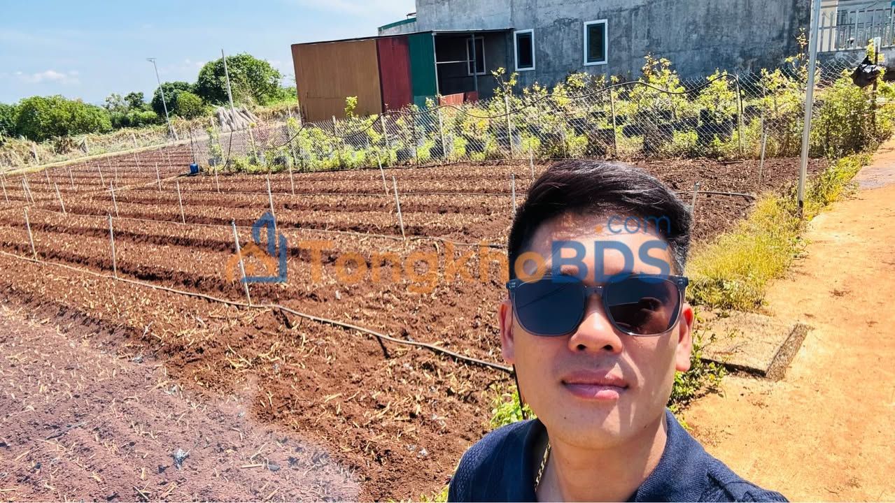 Đất nền Hiệp Thạnh Long An 74m² 980 triệu - Sổ đỏ chính chủ