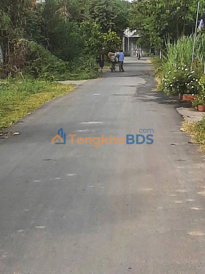 Đất nền Tân Thạnh Đông Củ Chi 160m² 2.35 tỷ - Đất thổ cư 100%