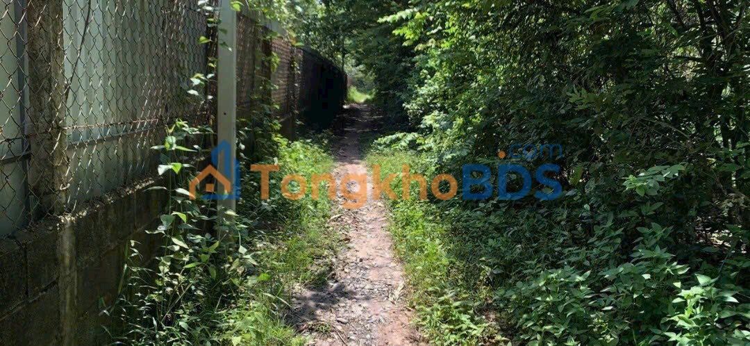 Đất An Nhơn Tây Củ Chi 2023m² 7 tỷ - Pháp lý rõ ràng