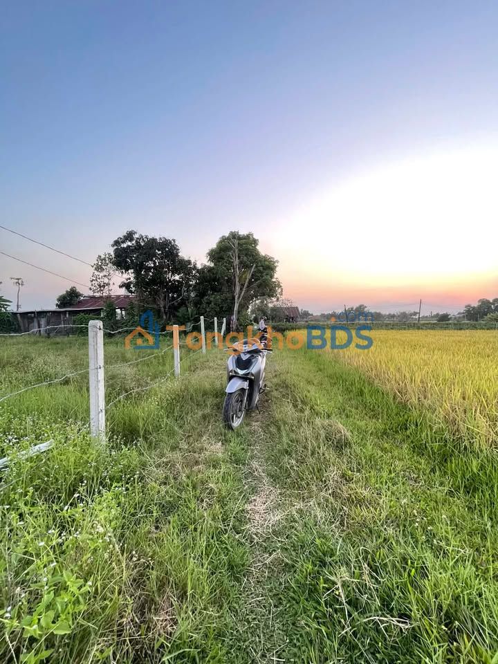 Đất nền Bến Cầu 1.800m² giá 380 triệu - Sổ đỏ chính chủ