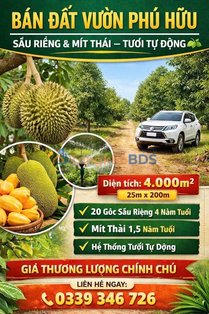 Đất vườn Phú Hữu Hậu Giang 4.000m² 2,6 tỷ - Đường to ô tô