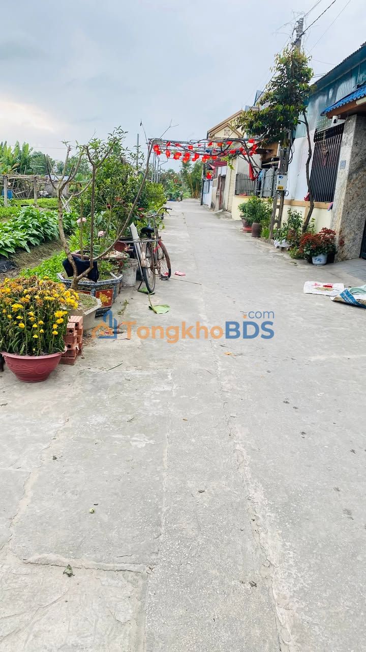 Đất nền Thanh Hóa Thành Minh 100m² 1 tỷ - Đầu tư dài hạn