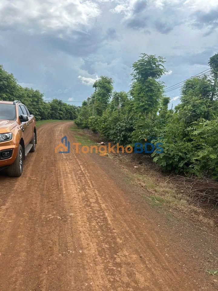 Đất nền Buôn Hồ 500m² giá 366 triệu - Tiềm năng tăng giá