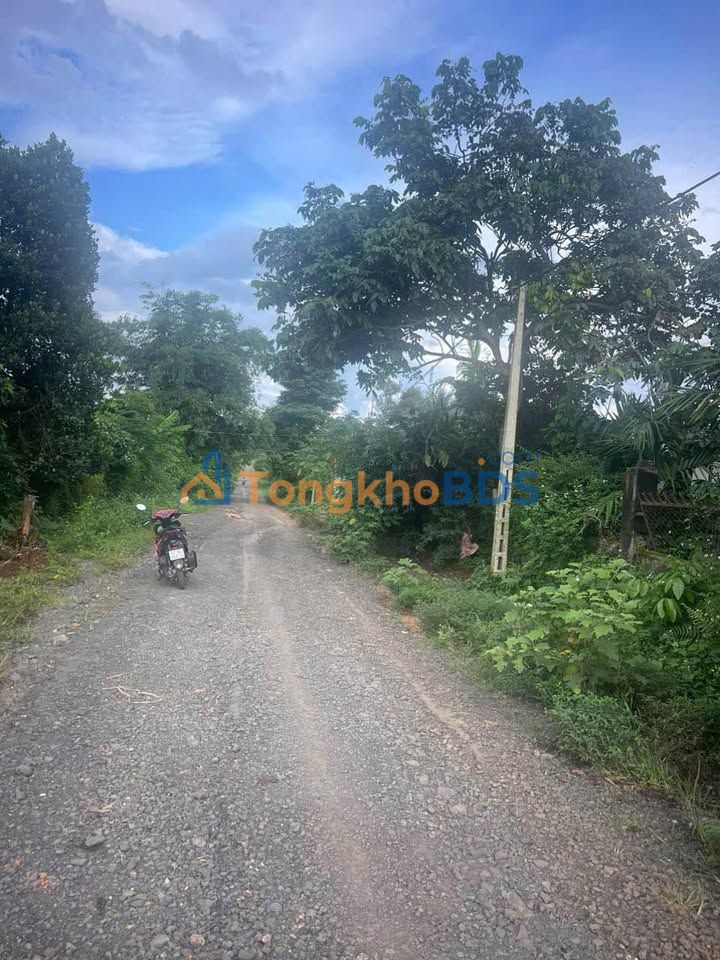 Đất nền Tân Lập Buôn Ma Thuột 500m² 3,55 tỷ - Sổ đỏ chính chủ