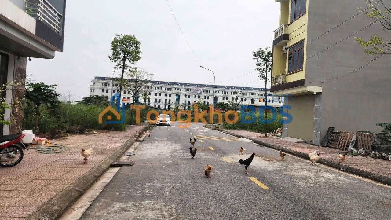 Đất nền Việt Đoàn Tiên Du 100m² 3 tỷ - Sổ đỏ chính chủ