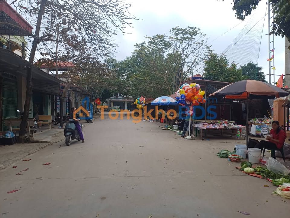 Đất nền Tiên Nha Bắc Giang 101m² 200tr - Tiềm năng tăng giá