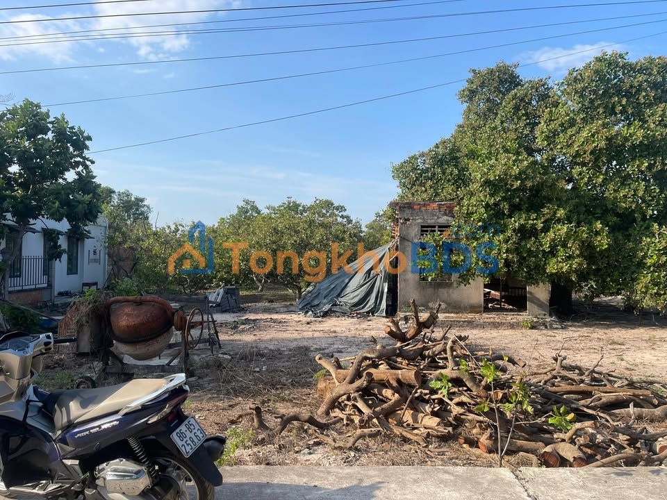 Đất nền Bình Mỹ Củ Chi 750m² 1,35 tỷ - Đường ô tô