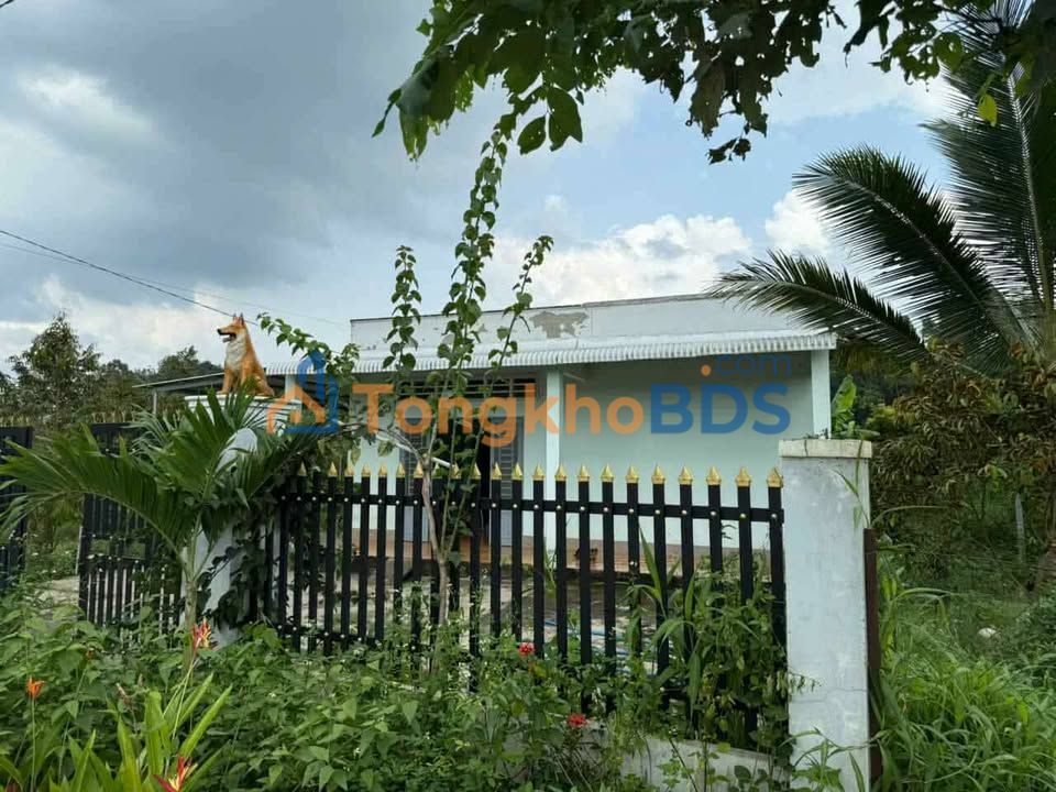 Đất vườn Xuân Bắc 7.121m² 6,9 tỷ - Sinh thái xanh