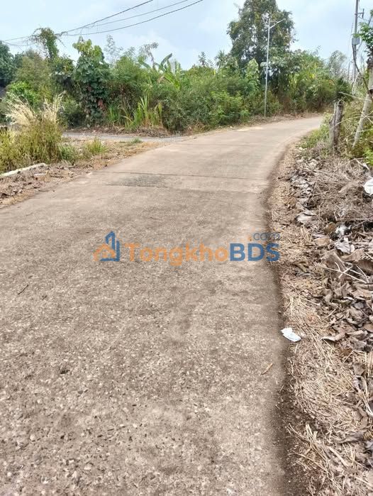 Bán Đất Đồng Nai 1400m² Sổ Hồng Riêng - Mặt Tiền Đường Bê Tông 650 Triệu