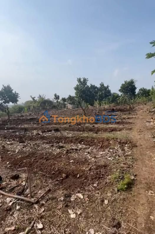 Đất nền Phú Thịnh Tân Phú 4.700m² 1,5 tỷ - Sổ đỏ chính chủ