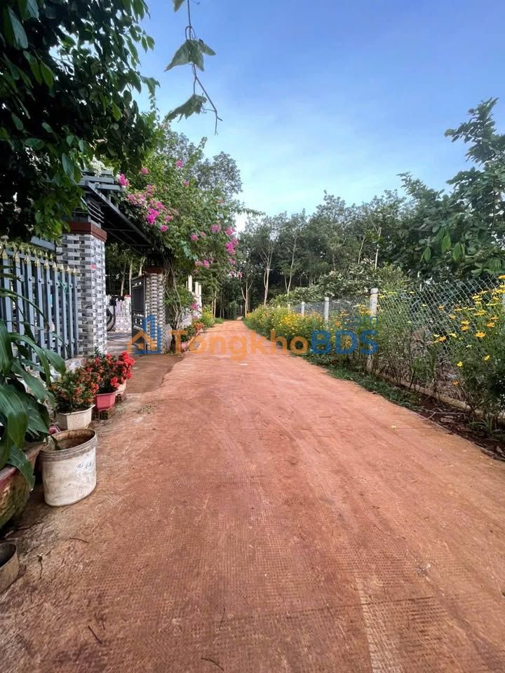 Đất vườn Xà Bang 2.820m² giá 4.06 tỷ - Sinh thái xanh