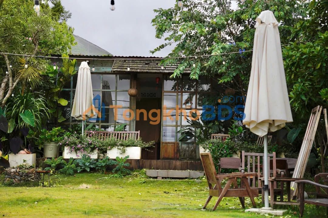 Nhà hàng Cao Bá Quát Đà Lạt 1000m² 200 triệu - Mặt tiền KD