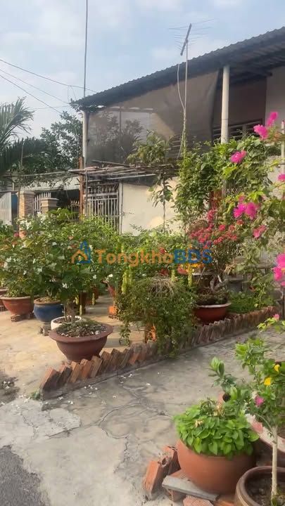 Nhà Thới Hòa Bến Cát 90m² 2.2 tỷ - Chính chủ bán