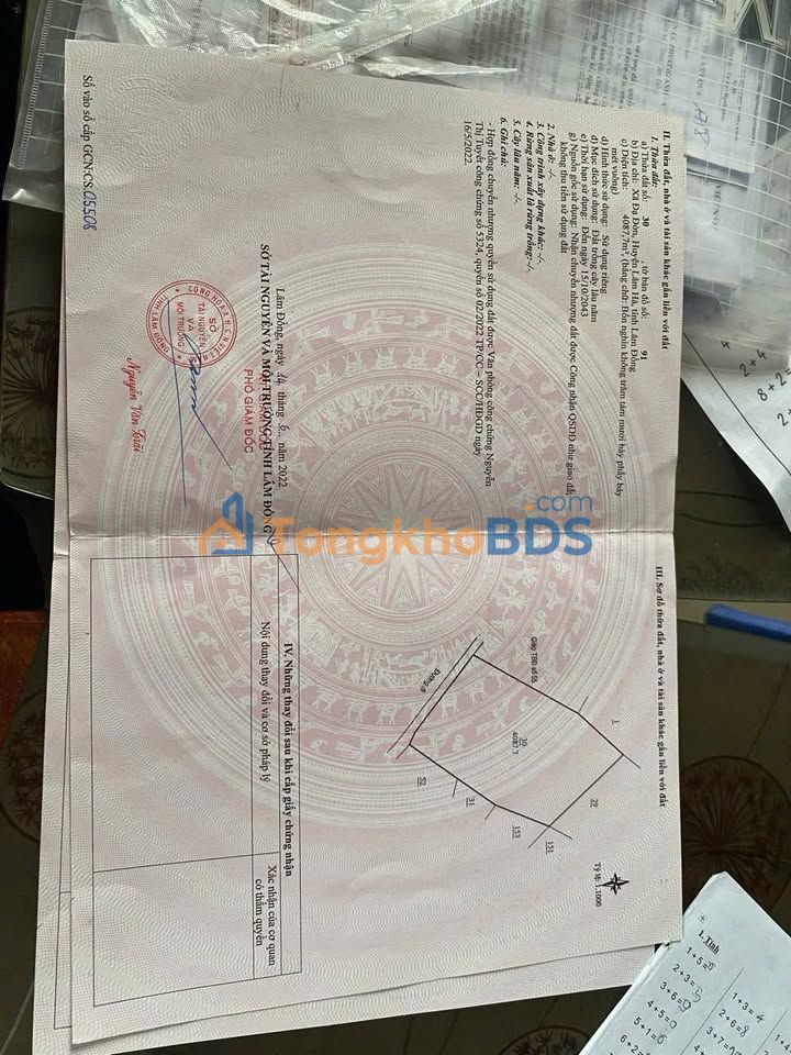 Đất nền Tân Văn Lâm Hà 60000m² 2.5 tỷ - Sổ đỏ chính chủ