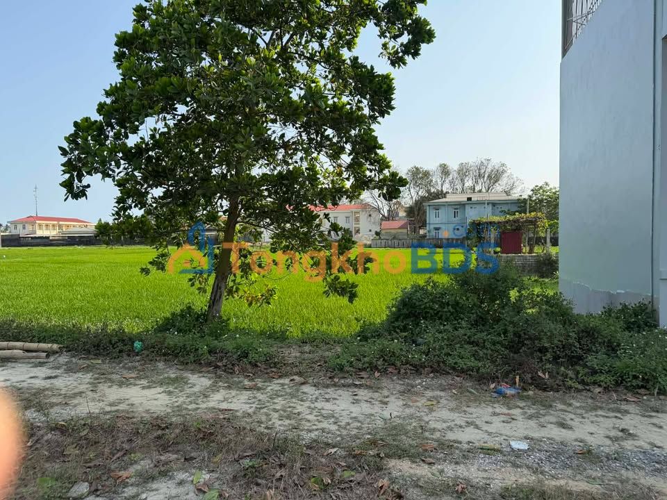 Đất nền Thuần Lộc 210m² hướng Bắc - Sổ đỏ chính chủ