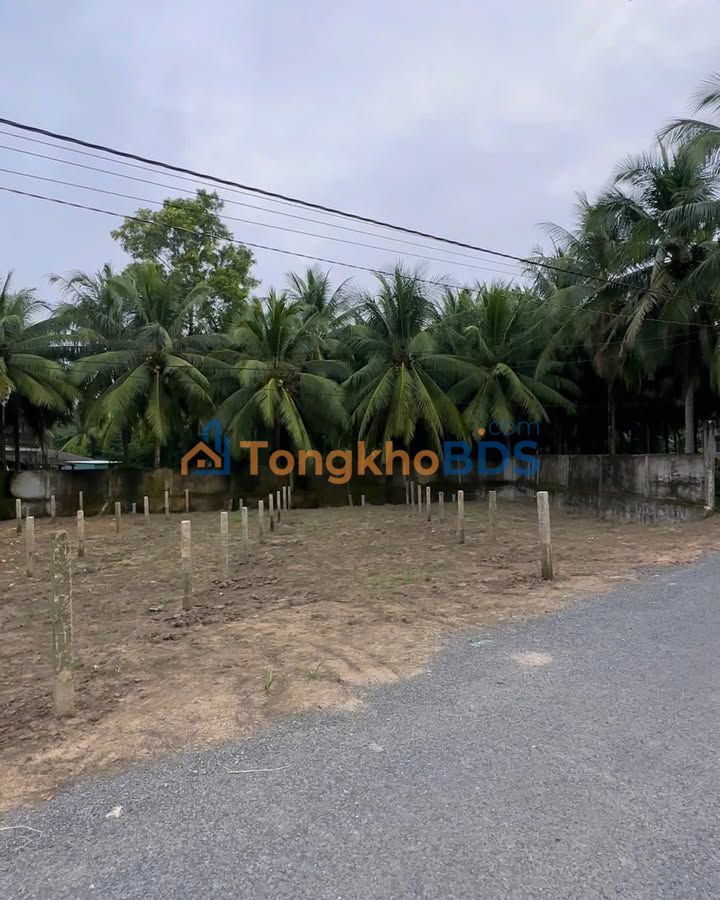 Đất nền Chợ Gạo 136m² 390tr - Sổ đỏ chính chủ sẵn