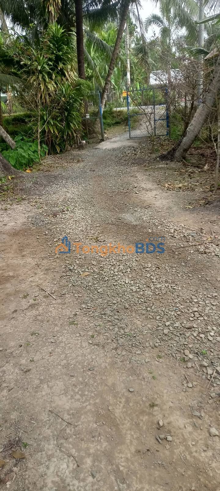 Đất thổ cư An Trường A Càng Long 293m² 520tr - Sổ đỏ chính chủ