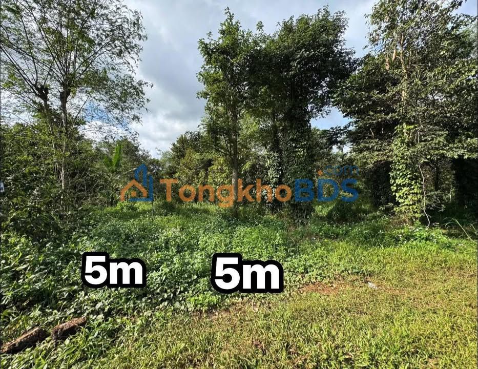 Đất nền Buôn Kroa B Cuor Đăng 110m2 350tr - Sổ đỏ chính chủ