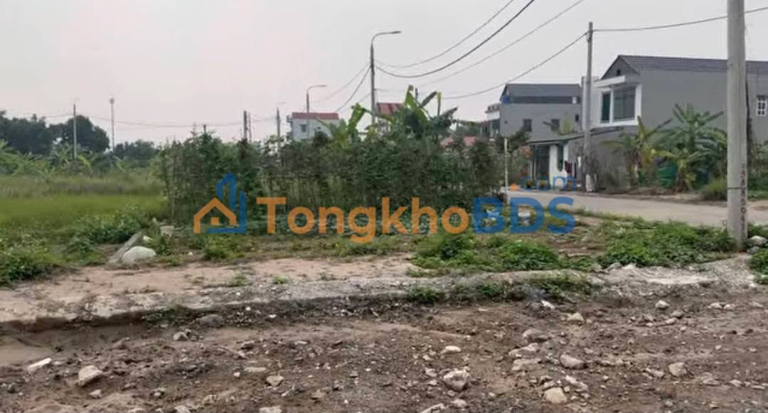 Đất nền Minh Tân Thái Bình 103m² 1.3 tỷ - Sổ đỏ chính chủ