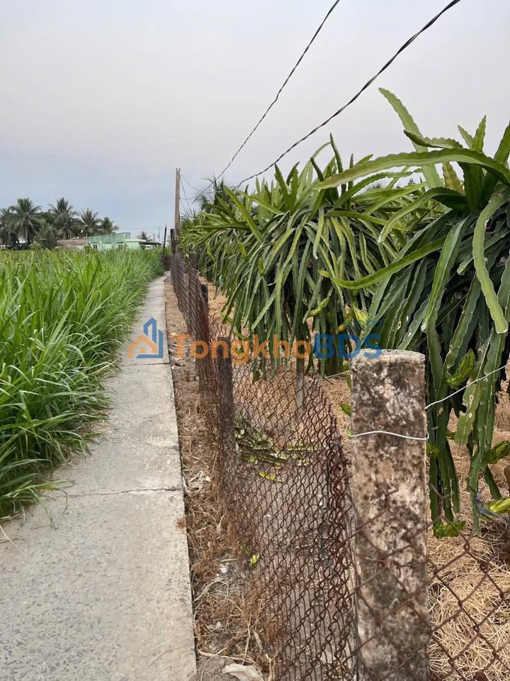 Đất nền Long Trì 741m² 780 triệu - Sổ đỏ chính chủ