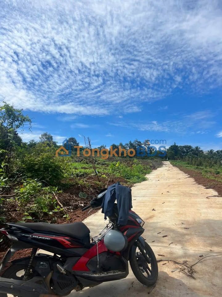 Đất nền Buôn Ma Thuột 7.500m2/15 tỷ - Sổ đỏ chính chủ