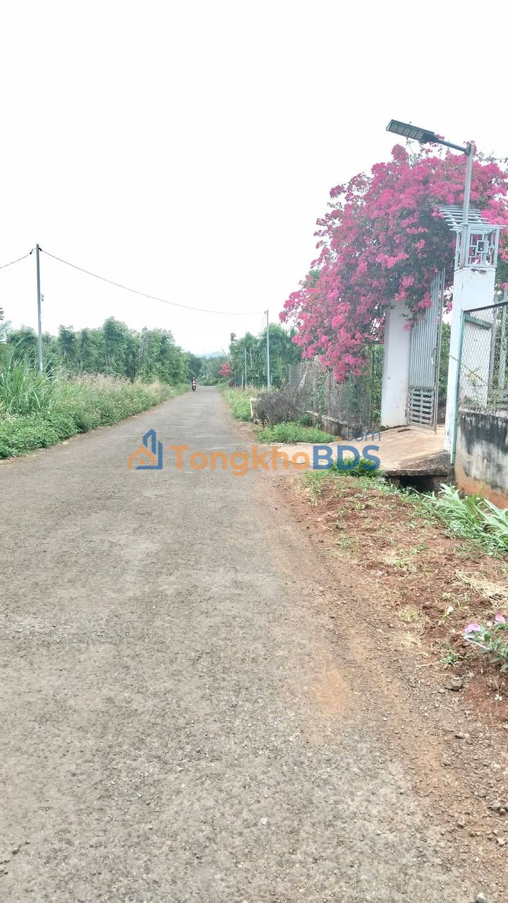 Đất nền Hòa Xuân Cẩm Lệ 900m² 1,4 tỷ - Sổ đỏ chính chủ