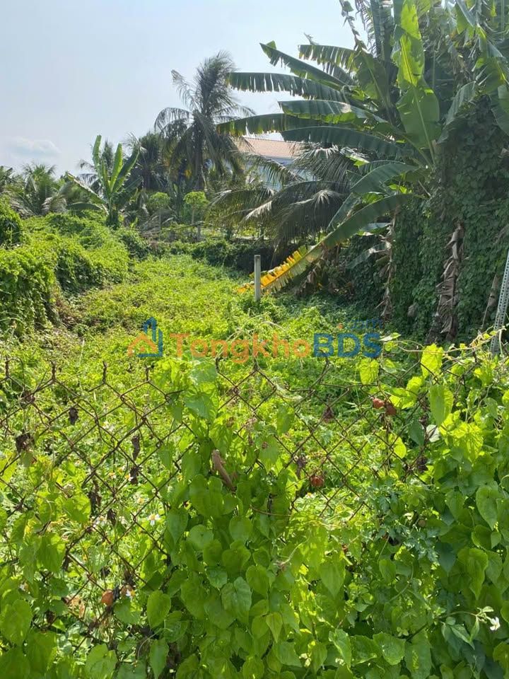 Đất nền Mỹ Tho Phường 9 68m² 750 triệu - Sổ đỏ chính chủ