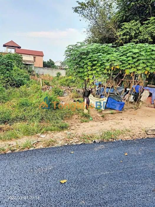 Đất nền Tân Thông Hội Củ Chi 120m² giá 2.1 tỷ - Đầu tư dài hạn