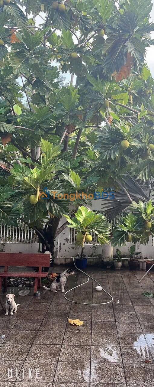 Nhà nguyên căn Phường Phú Thọ 6 triệu/tháng - Ô tô vào nhà