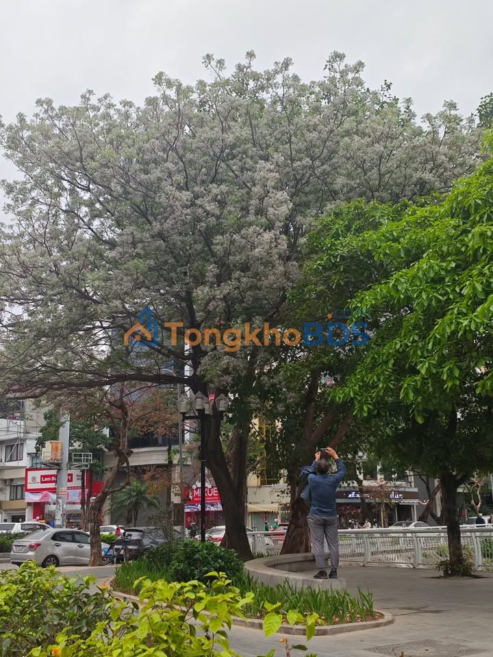 Nhà Võng Thị Tây Hồ 50m² thỏa thuận - Ô tô vào tận nhà