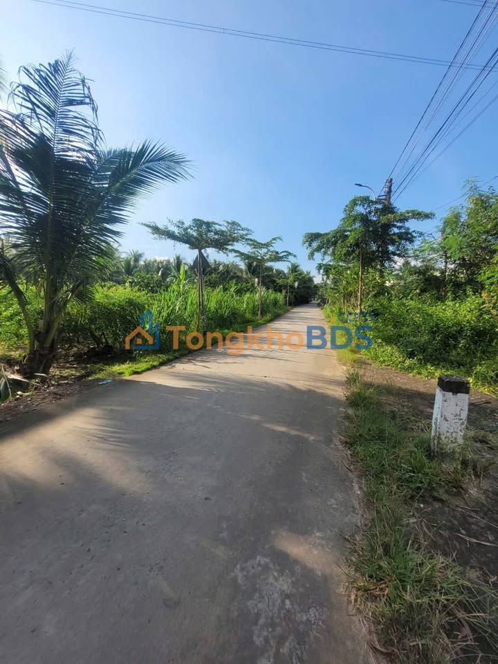 Đất vườn dừa Phú An Hòa 1.470m² 1.45 tỷ - Sổ đỏ chính chủ