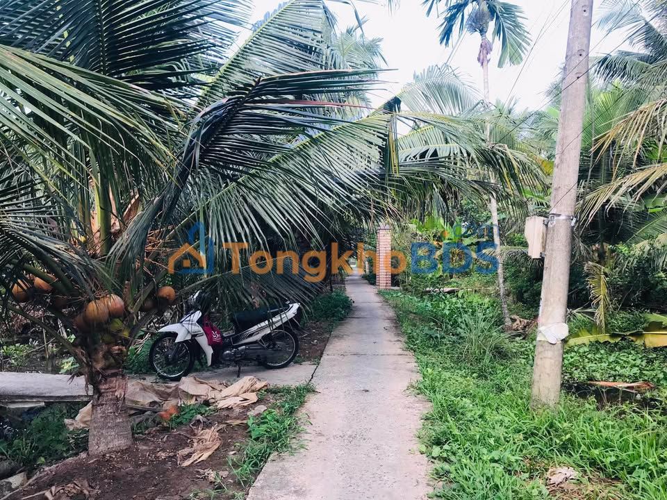 Đất nền Tiên Thủy 3600m² 2 tỷ - Pháp lý rõ ràng