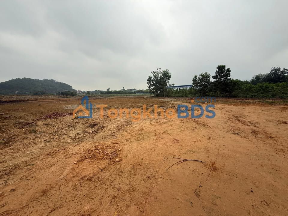 Đất nghỉ dưỡng Trung Giã Sóc Sơn 1.638m² - Sinh thái xanh