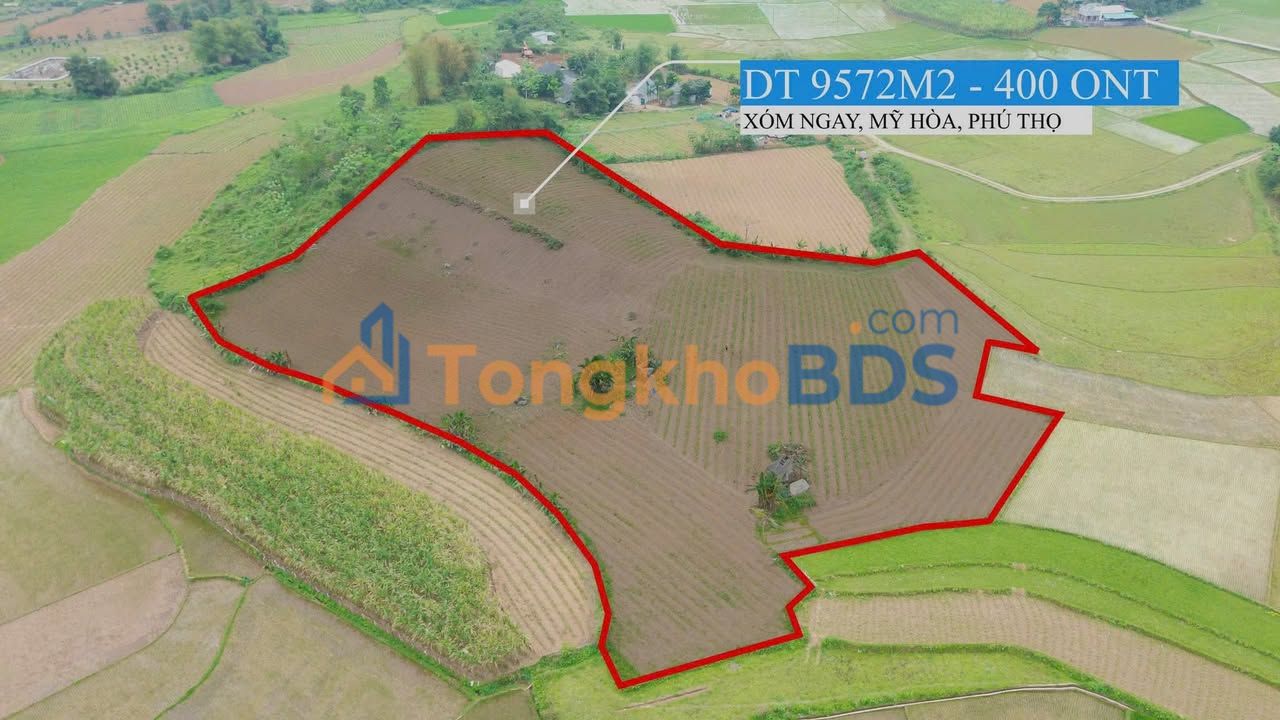 Farm Mỹ Hòa Tân Lạc 9.572m² giá F0 - Nghỉ dưỡng lý tưởng