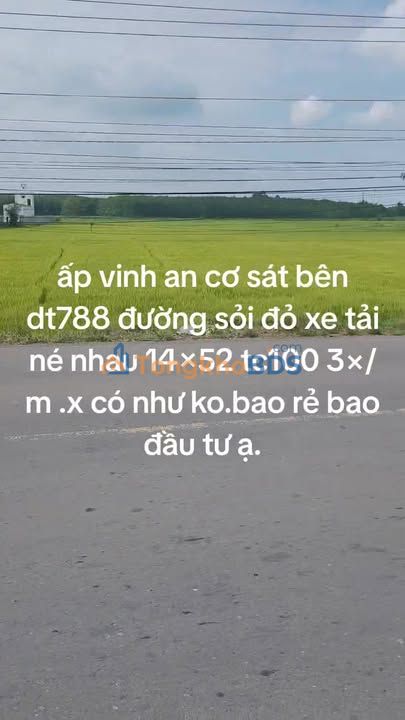Đất nền Đường Tỉnh 788 728m² - Thổ cư 100%