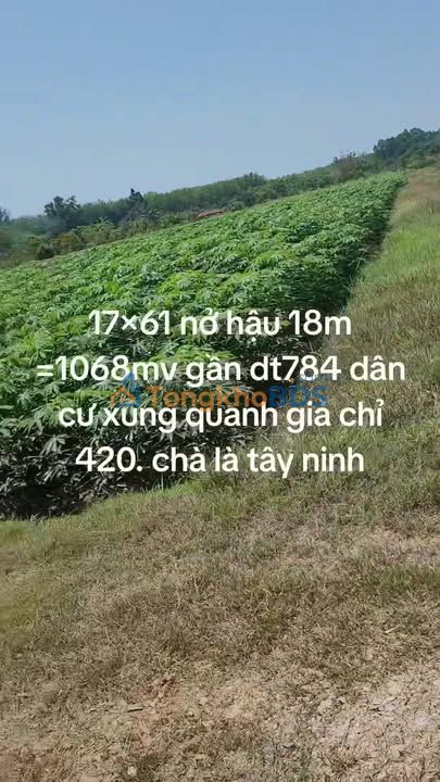Đất nền Tây Ninh đường 784 1.037m² giá 420 triệu - Đường ô tô