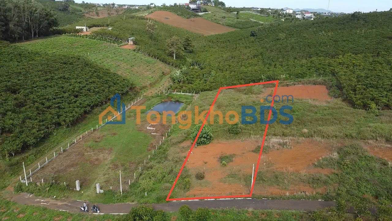 Đất vườn Bảo Lộc 1.300m² 1,9 tỷ - Sổ hồng rõ ràng