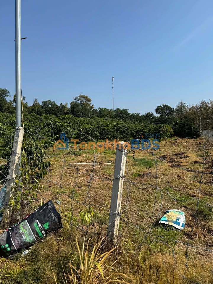 Đất nền Tân Lạc Bảo Lâm 4150m² 3 tỷ - Sổ đỏ chính chủ